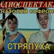 Стряпуха Радиопостановка