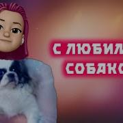 Играю Со Своей Любимой Собакой