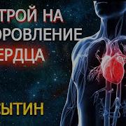 Настрои Сытина Для Сердца
