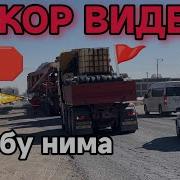 Бугун Ўзбекистонда Шов Шув Хабарлар