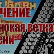 Одинокая Ветка Сирени На Баяне