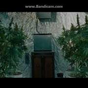 Крутые Кексы