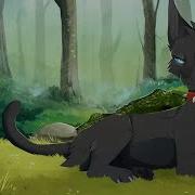 Клип Коты Воители Dor Or Die