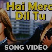 Hai Mera Dil Tu Albela Aishwarya Rai Govinda By Real Hd Dj Song 2018