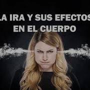 Real En Espanol De Dolor A Ira