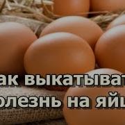 Как Выкатывать Болезнь На Яйцо