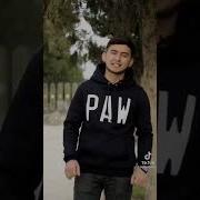 Поёни Шаби Сиёҳ Сафед Аст
