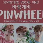 Pinwheel Seventeen