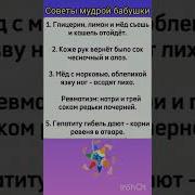 Бабушкины Мудрые Советы