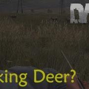 Dayz Deer Sound