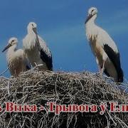 Трывога У Ельничах