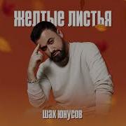 Шах Юнусов Желтые Листья