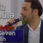 Parviz Bulbule Men Seven Gozelin