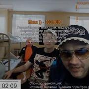 Мопс Стримит На Свою Днюху