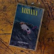 Nirvana Opinion Speed Up