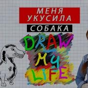 Draw My Life Меня Укусила Бешеная Собака