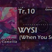 When You See It Camellia