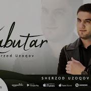 Sherzod Uzoqov Kabutar