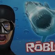 Shark Attack Roblox Arcane Adventures