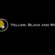 Yellow Black And White Logo