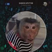 Наш Азербайджанский Меймун