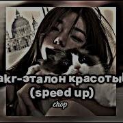 Бакр Только Ты Speed Up