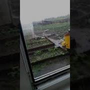 А У Нас Дождик Идёт