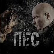 Сериал Пёс Тема Ожидание