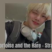 The Tortoise And The Hare Stray Kids Speed Up