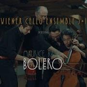 Cello