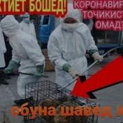Худоё Моро Аз Балохо Нигахдор 2020