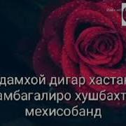 Бехтарин Клип Барой Бачой Камбагал