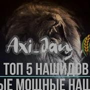 Топ 5 Красивых Нашидов Hd