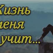Жизнь Меня Не Учит Я Дурак