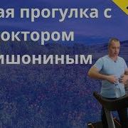 Психодинамические Прогулки С Доктором Шишониным