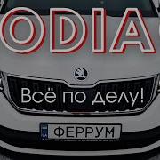 Тест Драйв Skoda Kodiaq 2019