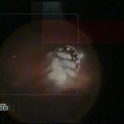 Заставка Программы Чистосердечное Признание Нтв 1997 2004