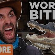 Top 5 Worst Things To Get Bitten By Ft Coyote Peterson