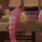 Креветки Танцуют В Баре Морячок