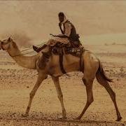 Piccaya Oriental Rider Camel Cafe De Anatolia