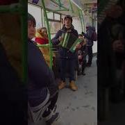 Цыгане Поют Тайсон Кукушка
