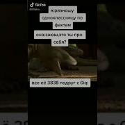 Заюш Это Ты Про Себя