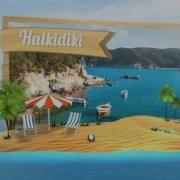 Holiday Service Travel Agency Promotion Pack Videohive After Effects Template