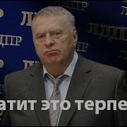 Хватит Это Терпеть