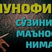 Мунофик Сузининг Маъноси Нима