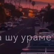 Иллешкахь Йицина Дика Йо1 Тар Елла Хоьх