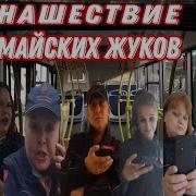 Нашествие 2023 Сборник