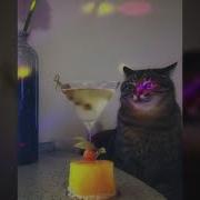 Кот Сидит Под Грустную Музычку