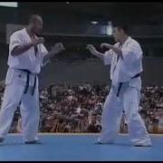 Нокауты В Каратэ Киокушинкай Flv