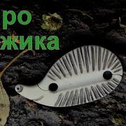 Анекдот Про Ёжика